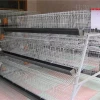 Kenya 120 birds layer chicken battery cage for poultry farm