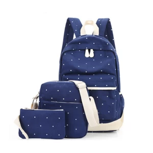 kids backpack with lunch bag school backpack set