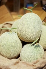 Korean Fresh Melon