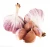 Import Low price vegetables 4.5cm-6.5cm normal white fresh garlic from China