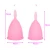 Import Medical silicone material custom logo printing wholesales menstrual cup sterilizer from China