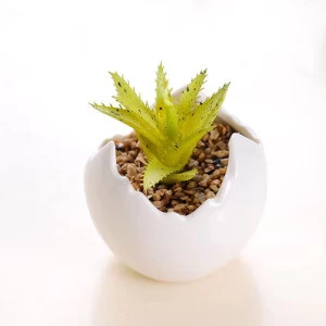 Mini artificial plants cactus succulent