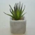 Import Mini Classic Artificial Plant with Cement Pot_HC-DP67572-43 from China