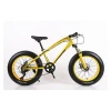 mtb bike 20inch 21speed 4.0 fat tire mountain bicycle/high steel MTB bikes