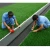 Import multi sports artificial grass for hockey,football,tennis,golf,lawn bowls from China