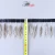 Import Multiple Style Pheasant Feathers Novelty Costumes Sewing Fabric 3-8cm Pheasant Feather Trim Handmade Crafts from China