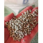 n21% ammonium sulphate AMS fertilizer