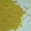 Natural Bee Pollen at A Bottom Price