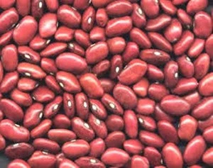 New 2018 Red Kidney Beans