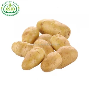 New crop 2020 Certified GAP Holland Potatoes Fresh potatoes