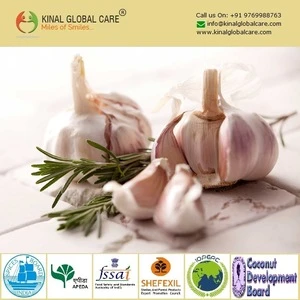 New Crop Indian Fresh Garlic