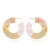 Import New Design 3 Tonal Colors Acetate Hoop Earrings Acrylic Earrings For Women Jewelry from China