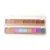 Import New High Quality Waterproof Custom Make Up Camouflage Palette 9 Color Face Concealer from China