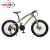 Import New speed 26*4.0 7-Speed Steel Fat Tire Bike Bicycle, Snow Bike from China