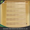 Newest popular beautiful with high quality china indoor roll up window shutter