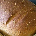 Non-GMO defatted soy flour / toasted soy flour