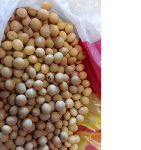 NON GMO Soybean For Sale New Crop.