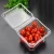 Import Novel design clear packaging transparent clamshell fruit tomato kiwi blueberry strawberry apple plastic trays from China