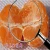 Import November Sugar Mandarin Orange from China
