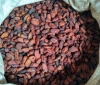 Organic Certified Cocoa Beans and Nibs Original From Indonesia