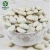 Import Organic Cultivation Type Dry White Alubia Kidney Bean and Pea from China