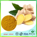 organic red oleoresin ginger extract in stock
