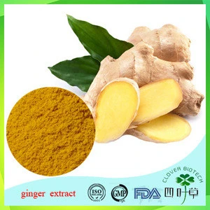 organic red oleoresin ginger extract in stock
