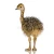 Import Ostrich chicks and fertile ostrich eggs from Ukraine