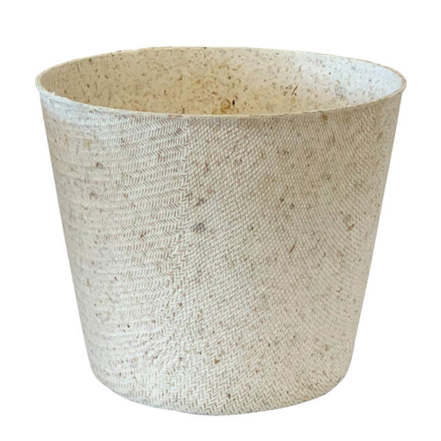 Buy Paper Cup Eco Friendly Non Plastic Biodegradable Seaweed Extract ...