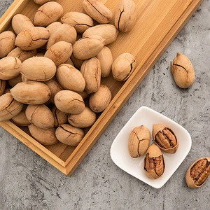 Pecan Nuts In Shell With Competitive Price For Sale Help Lose Weight