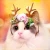 Pet Antlers Headband Christmas Costume for Dogs Cats Hair Accessories