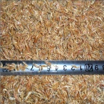 Pet Food Supplies / Nutrient Dried River Shrimp / Prawns , Dried Shrimp Fish Food