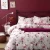 Import Pink bedsheet floral bedspread custom 4 pieces set skirt bed cover from China