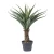 Import Plastic artificial bonsai snake plant agave artificial ornamental plant for indoor decoration from China