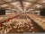 Import Plastic Chicken Feeder Poultry Feed Line Of Product Chicken Poultry Feed Line from China