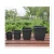 Import Plastic square plant pots wholesale from China