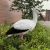 Import Plastic White Crane for garden decoration hunting decoy PB-HYZ001 from China