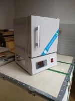 Popular!!! Factory Supply Wholesale Price Top Quality Dental Lab Burnout Furnace