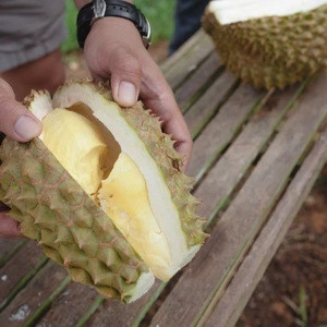 Premium Durian Grads A