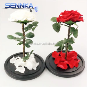 Preserved stabilized roses forever rose in glass dome everlasting forever flowers from Yunnan