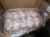 Import Processed Halal &#39;A&#39; Grade Chicken Feet / Frozen Chicken Paws Brazil from France