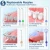 Import Professional 5 Modes 300ML Rechargeable Cordless Dental Irrigator Oral Water Jet Teeth Cleaner Portable Water Flosser from China