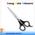 Import Professional Plastic Handle types of hair cutting scissors from Taiwan