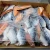 Import Proper Price Top Quality Salmon Fish Fillet Frozen from Philippines