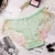 Import Puls Size Hipster Silk Satin Sheer Lingerie Lace Seamless Transparent Ladies Panty Lady Underwear Panties Women from China