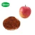 Import pure natural 75% polyphenols apple extract from China
