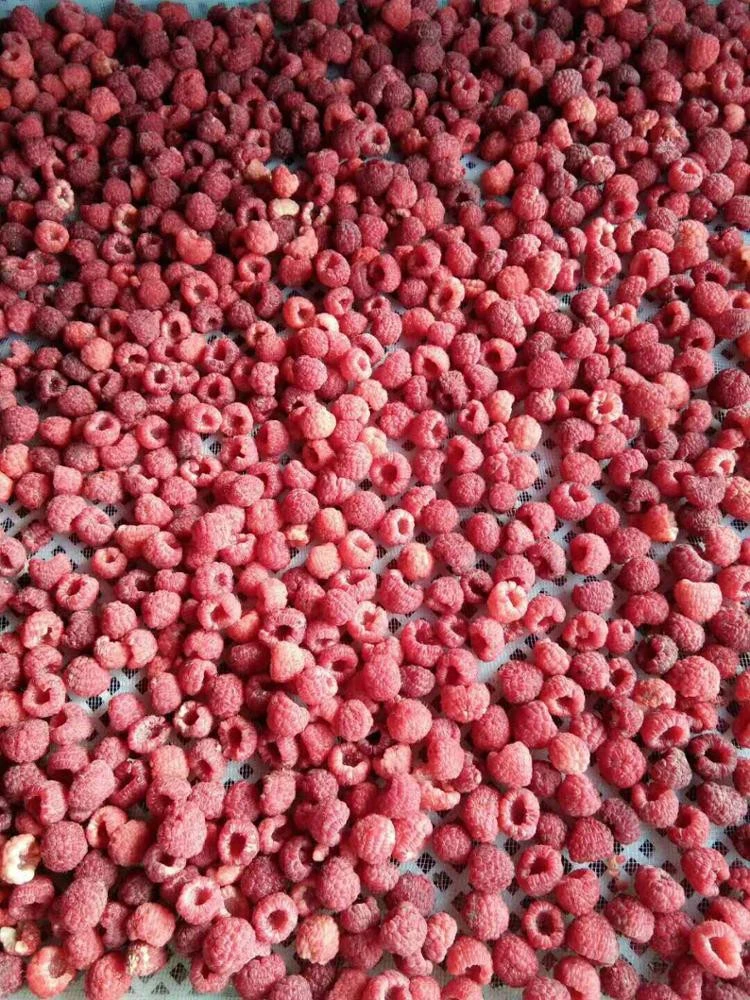 Quality frozen IQF raspberry fruit whole