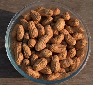 Raw peanuts in shell , fresh crop 2019 , high quality best price from Egypt