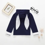 R&H Hot Selling Sweater hoodies High Quality Popular Wholesale Spring coats for Baby Toddler Rabbit Hoodie