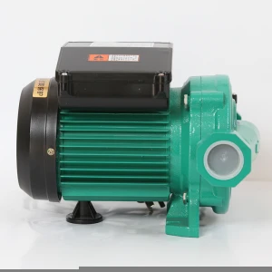 RUD-200EH Self Priming Centrifugal Pump Pressure Washer Pump Electric Booster Pump